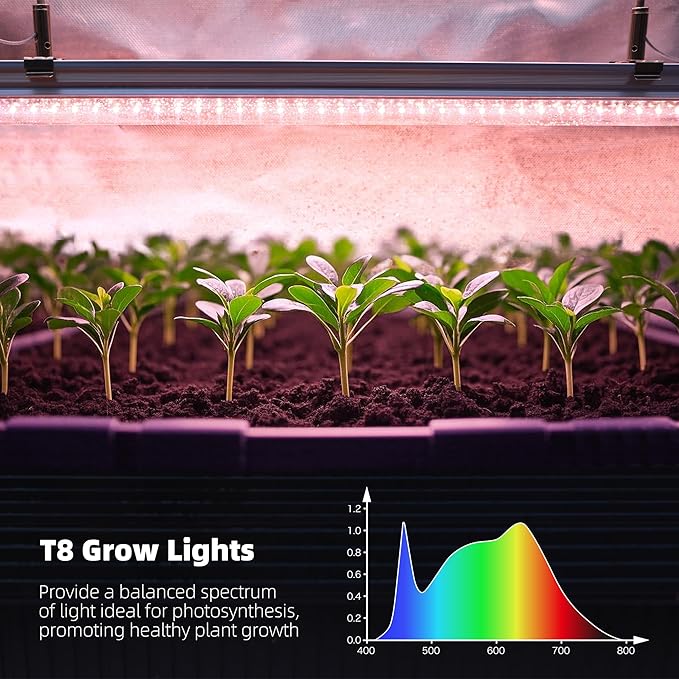 WORTH Mini Greenhouse with LED Grow Lights & Digital Thermo-Hygrometer – Portable Indoor Plant Grow