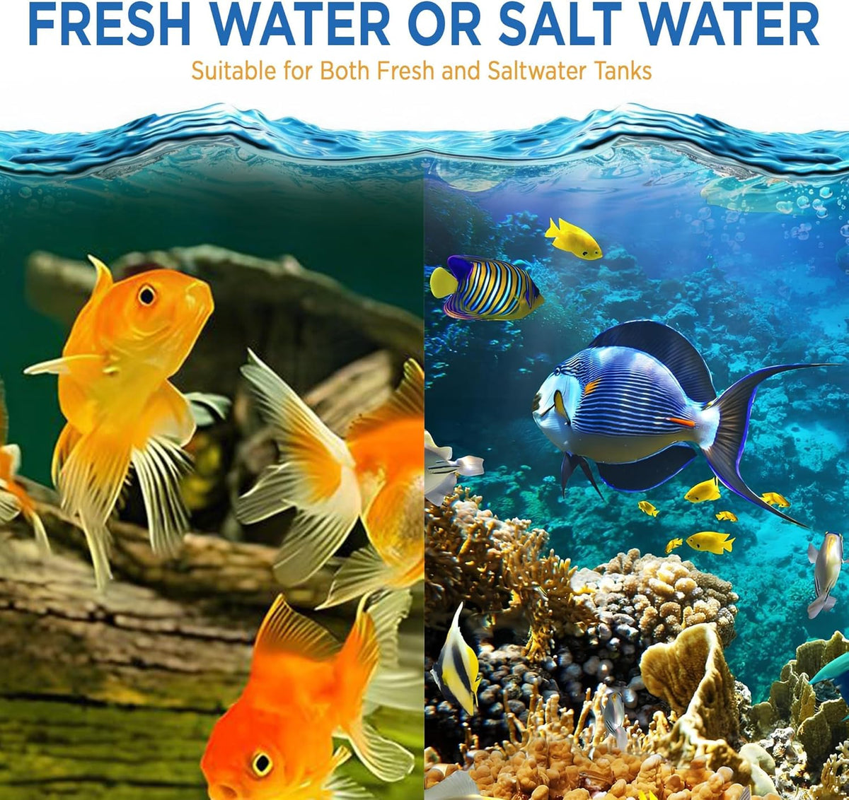 Fish Tank Rocks for Enhancing Water Clarity with Your Regular Cleaning Routine, Fish Friendly