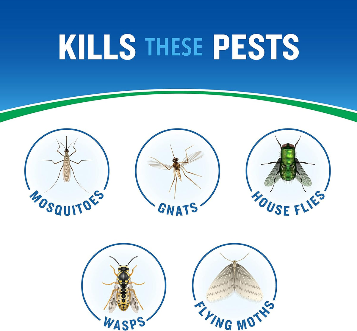 Cutter Backyard Bug Control Outdoor Fogger (12 Pack), Kills Mosquitoes, Fleas & Listed Ants, 16 fl