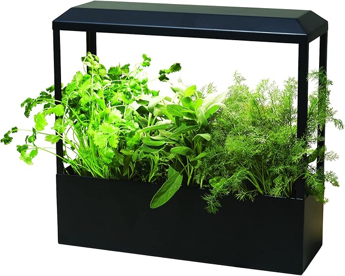 Modern Sprout Smart Growhouse - LED Grow Light for Indoor Plants - Plant Grow Light for Indoor