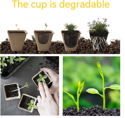 240 Cells Peat Pots Seed Starter Tray 24 Packs Biodegradable Seedling Pots Germination Trays Peat