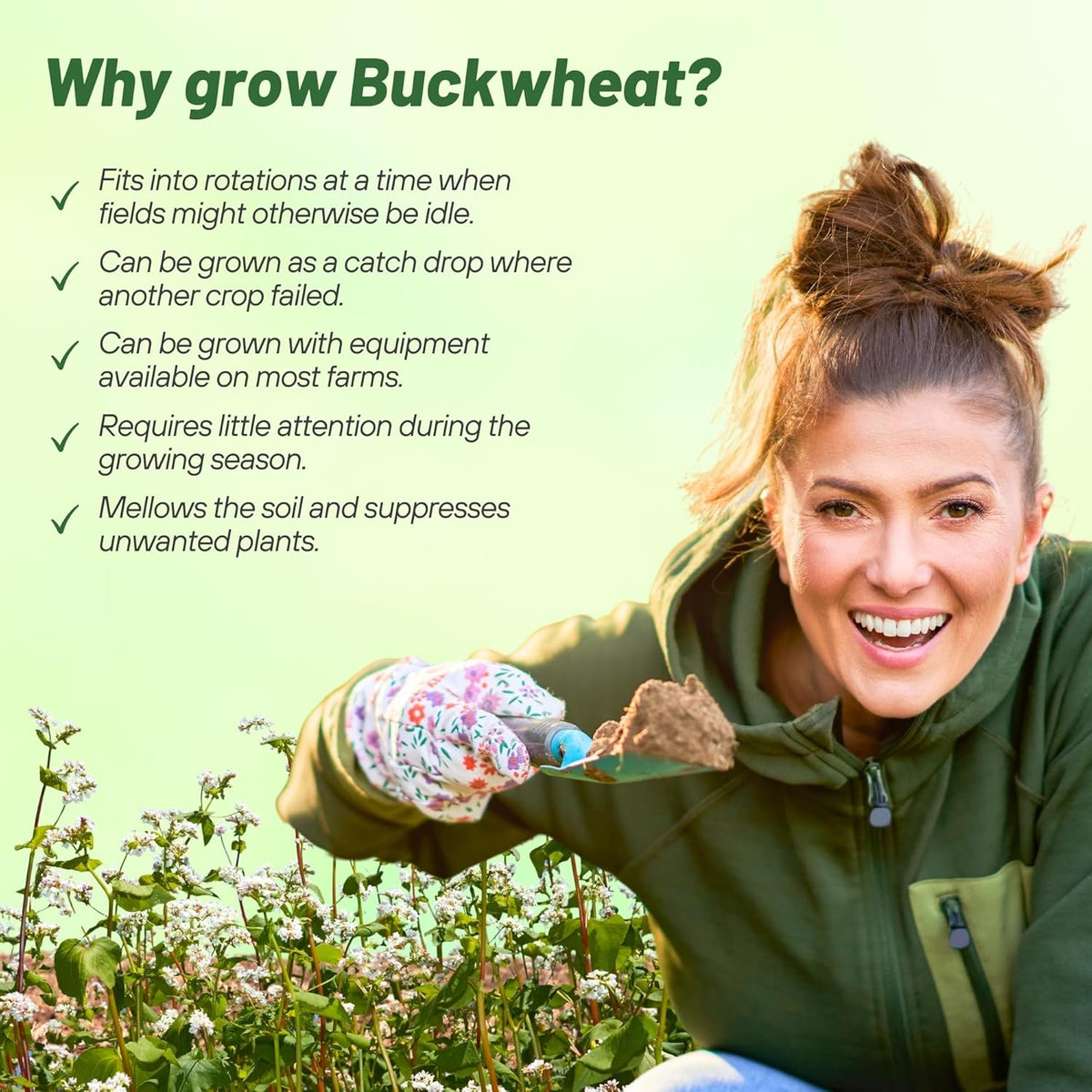 Outsidepride Buckwheat Seeds - 1oz Annual, Fast-Growing, Easy to Grow Buckwheat Cover Crop Seeds