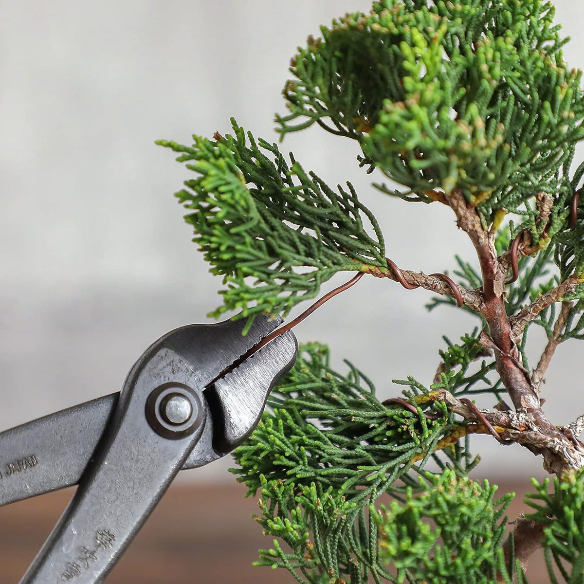 Wazakura Annealed Copper Bonsai Training Wire Made in Japan, Rust Resistant Outdoor Plant Cable