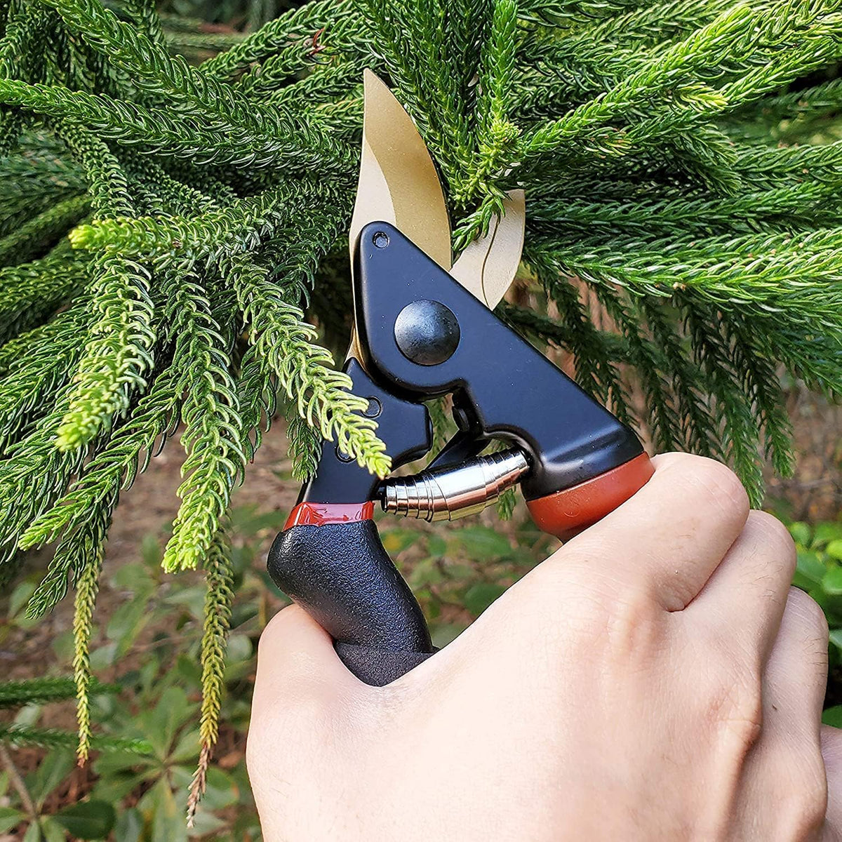 gonicc 8.5" Professional Rotating Bypass Titanium Coated Pruning Shears(GPPS-1014), Secateurs