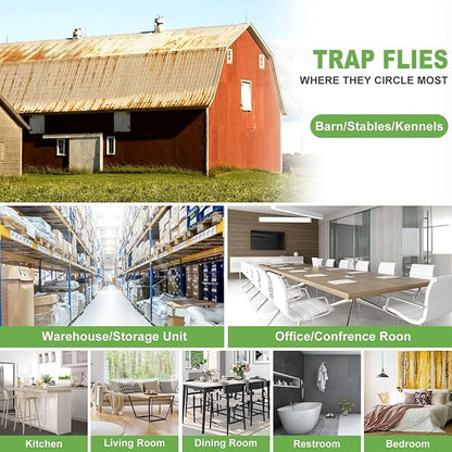 100 Pack Window Fly Trap, Fruit Fly Traps for Indoors, Fly Paper Sticky Strips, Fly Traps for