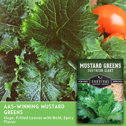 Southern Giant Mustard Green Seeds for Planting – Heirloom Non-GMO Spicy Greens, Heat Tolerant and