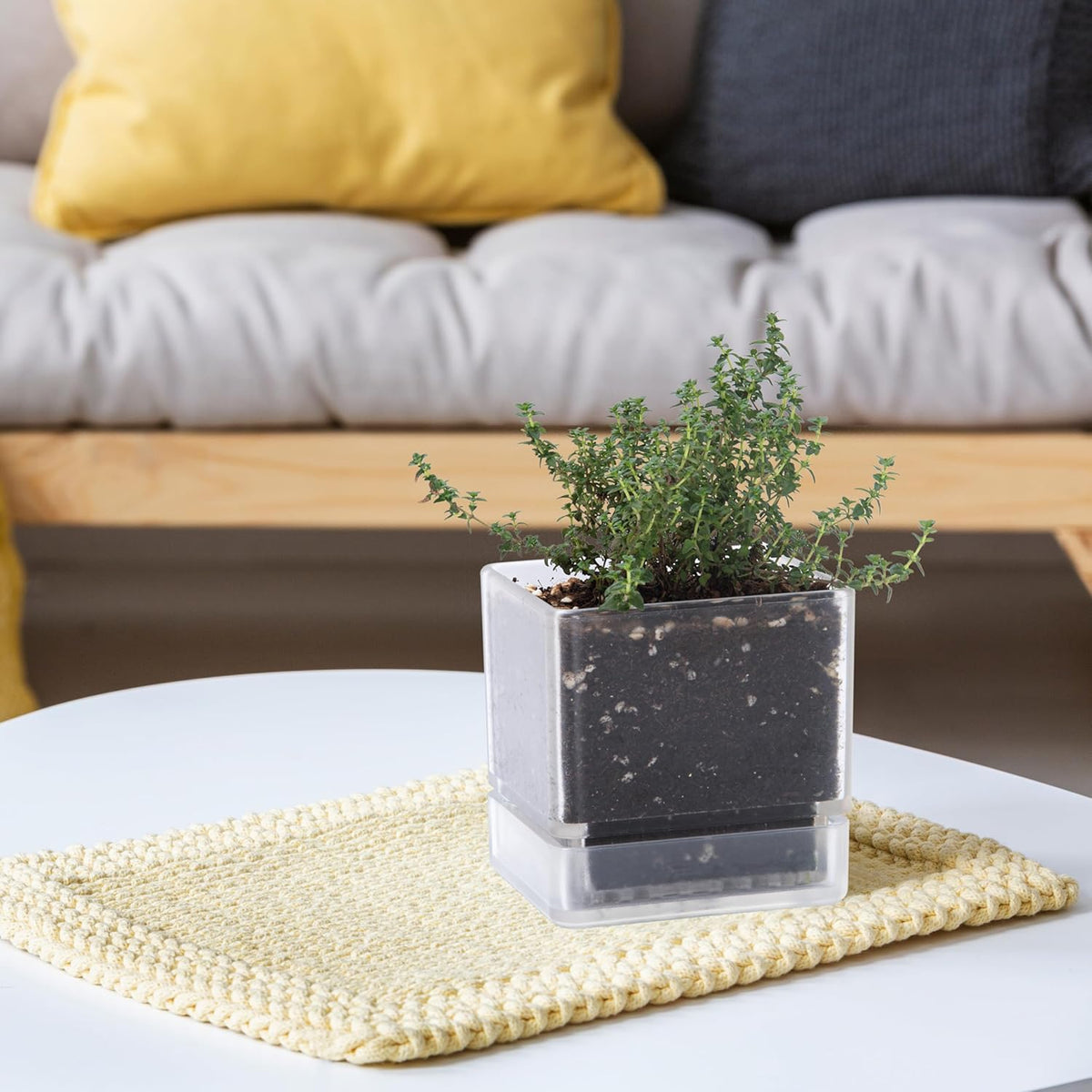 4 Inch Herb Planter Pot, Plastic Planter with Drainage Holes and Saucer, Modern Decorative