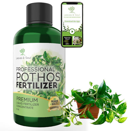 Professional Liquid Pothos Plant Fertilizer | 3-1-2 Concentrate for Epipremnums and Houseplants |