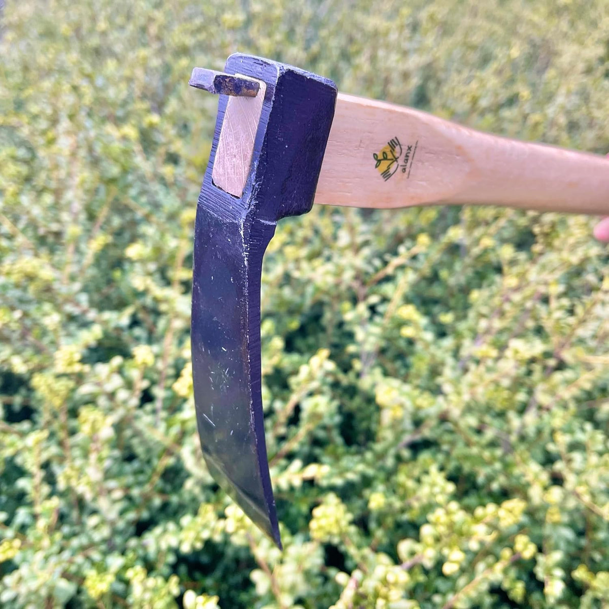 14 Inch Heavy Duty Narrow Hoe, Without Welding, Japanese Carbon Steel with Oak Wooden Handle