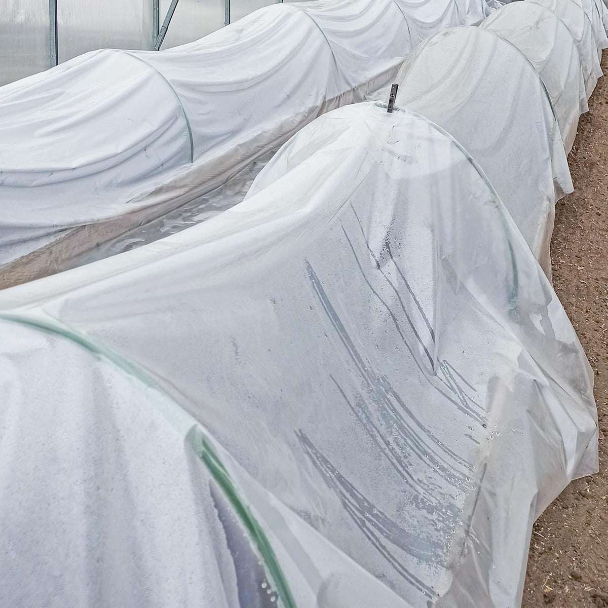 6 Mil Clear Greenhouse Plastic Sheeting,Transparent Plastic Film for Greenhouse, UV Resistant