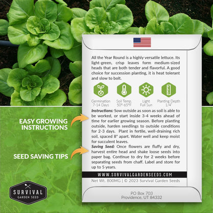 All The Year Round Lettuce Seed for Planting - 2 Packets with Instructions to Plant & Grow