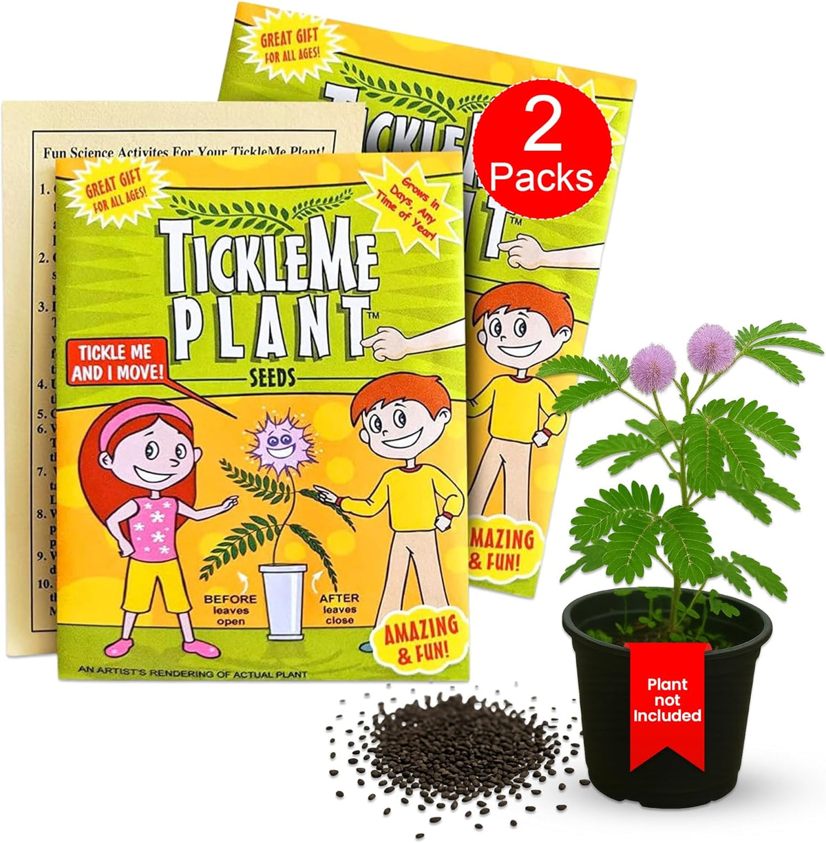 TickleMe Plant Seeds for Indoor Planting (2-Pack) – Interactive Party Favor | Leaves Close When