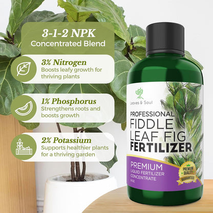 Leaves and Soul Professional Liquid Fiddle Leaf Fig Plant Fertilizer | 3-1-2 Concentrate for House