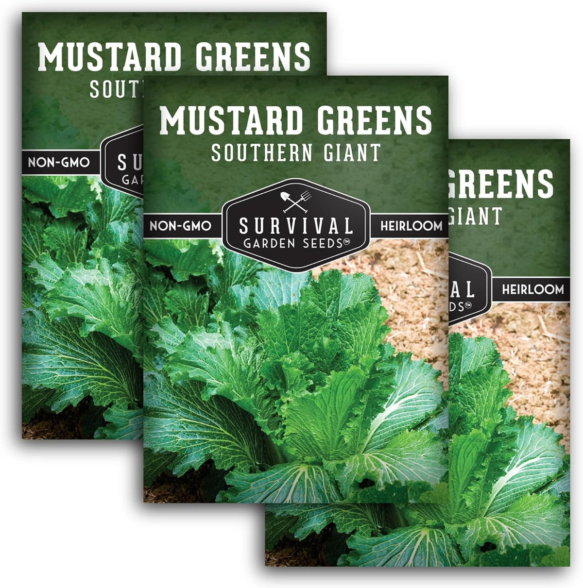Southern Giant Mustard Green Seeds for Planting – Heirloom Non-GMO Spicy Greens, Heat Tolerant and