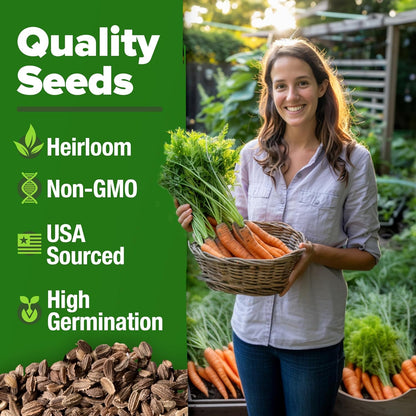 HOME GROWN Tendersweet Carrots Seeds 2 Pack - 6000 Non-GMO Heirloom Carrot Seeds for Planting