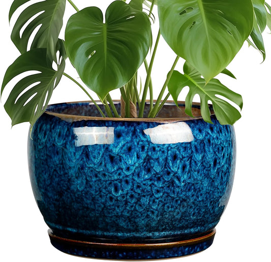 SQOWL 10 Inch Plant Pot - Ceramic Planter Pot with Drainage Hole and Saucer, Decorative Plant Pot