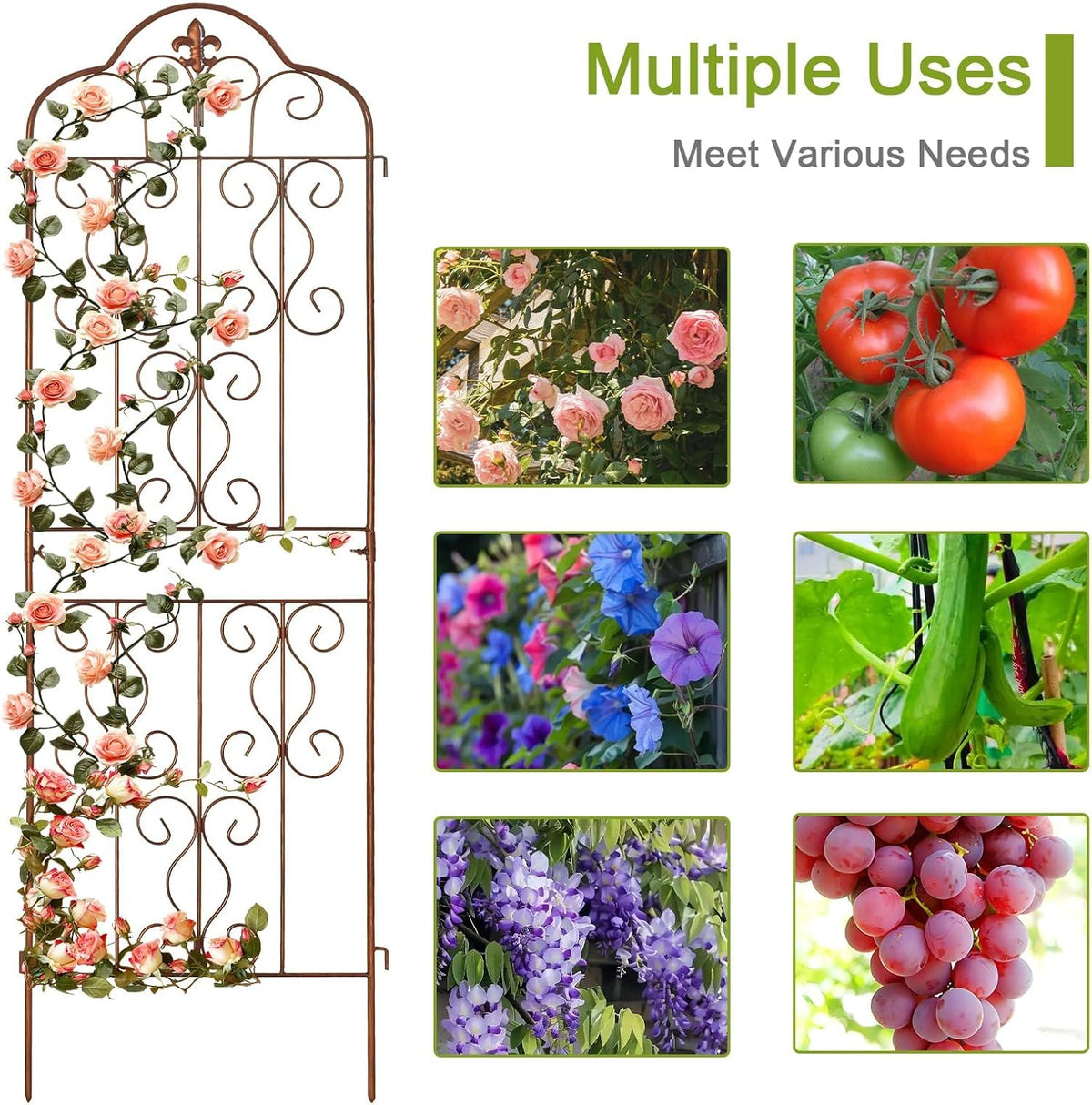 hogardeck 4 Packs 60 * 18 inch Metal Garden Trellis for Climbing Plants Outdoor,Heavy Duty,Gold