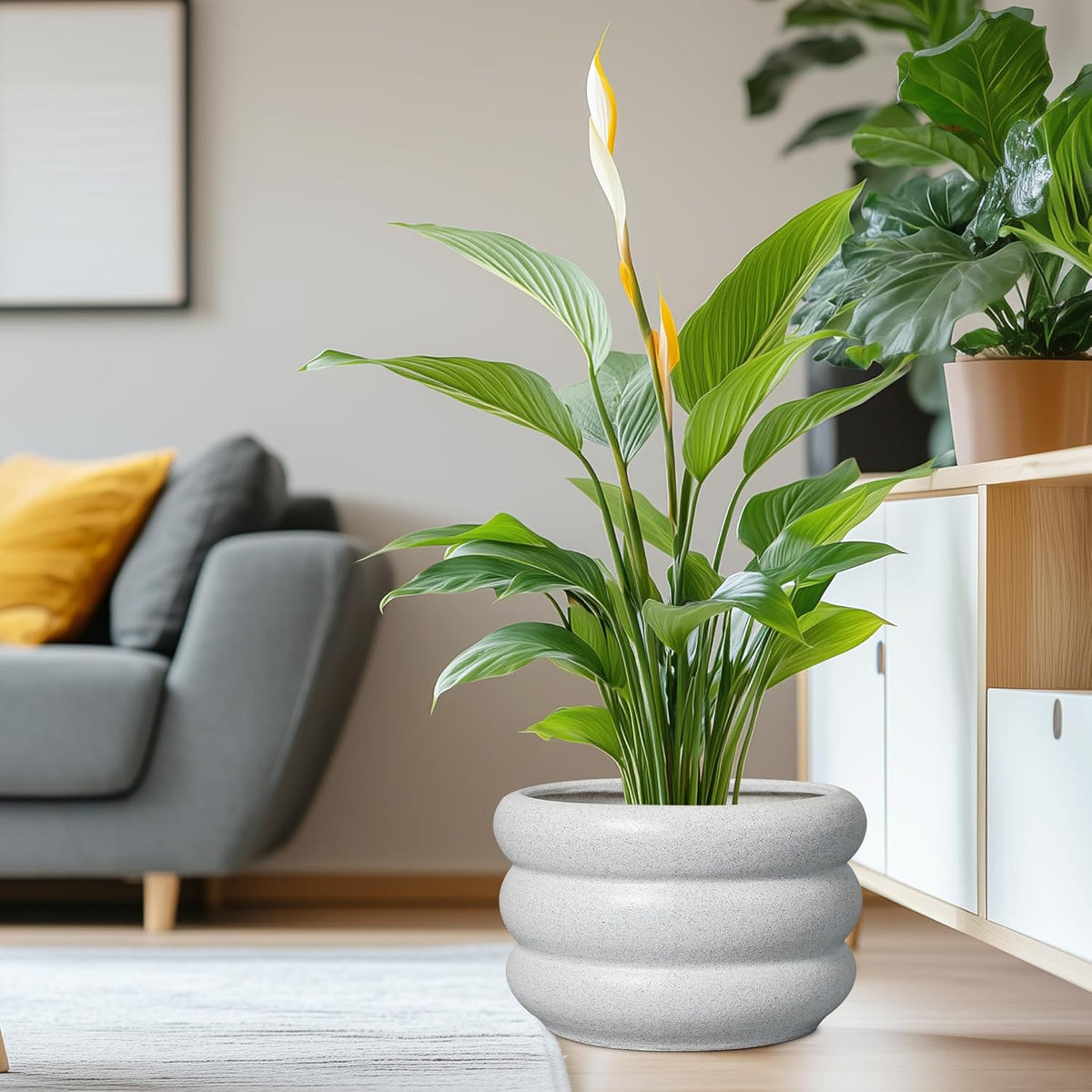 SQOWL Ceramic Planter Pot 13.5 Inch - Plant Pot Indoor with Drainage Hole Large Flower Pot Outdoor