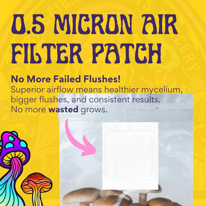 2 LB 2-Pack All-in-One Grow Bag: Up to 32oz of Mushrooms! Nutrient-Enhanced, Injection Port, Just