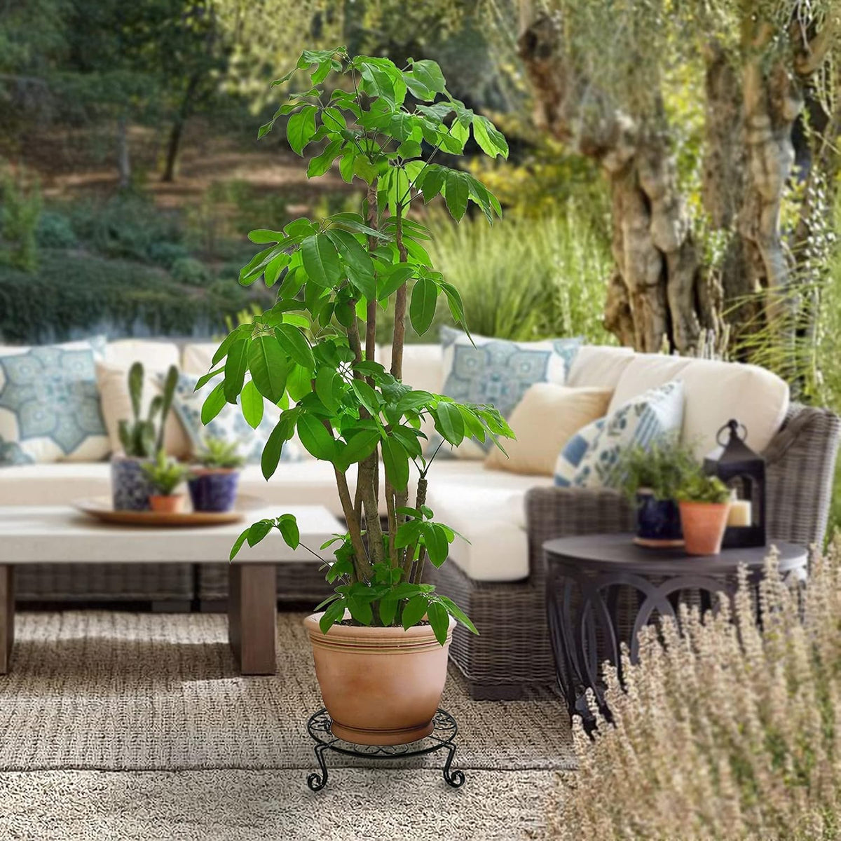 2 pack 10" 12" Rustproof Black Metal Plant Stands Heavy Duty Plants Holder Outdoor Indoor, Round