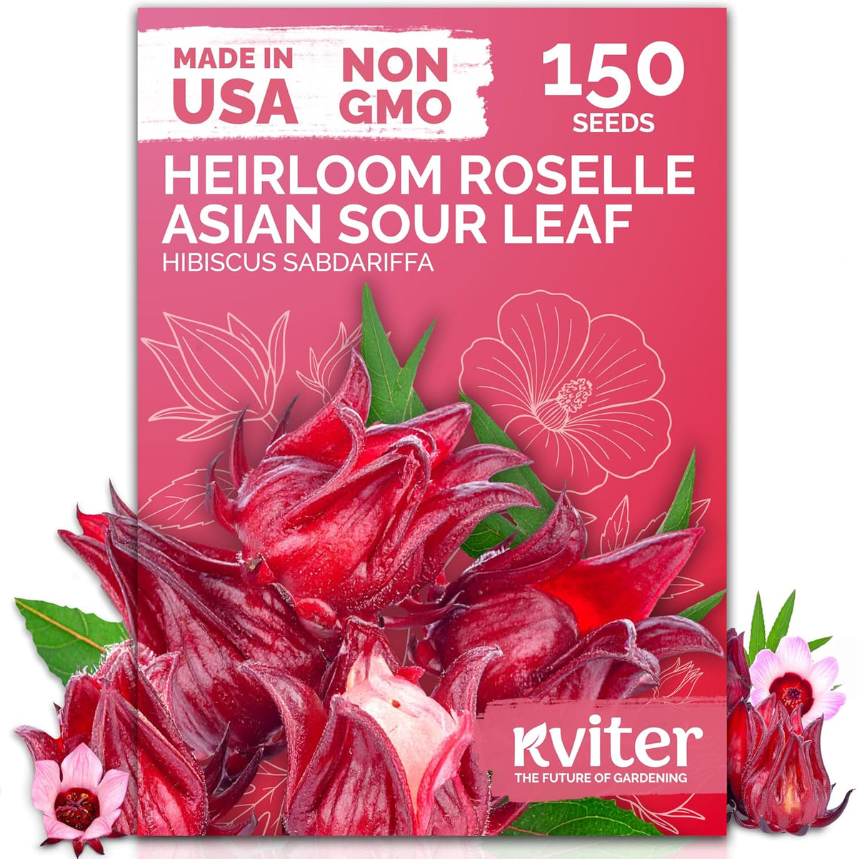 KVITER 150 Roselle Seeds for Planting (Hibiscus Sabdariffa) – Jamaican Sorrel/Cranberry Hibisco