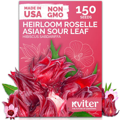 KVITER 150 Roselle Seeds for Planting (Hibiscus Sabdariffa) – Jamaican Sorrel/Cranberry Hibisco
