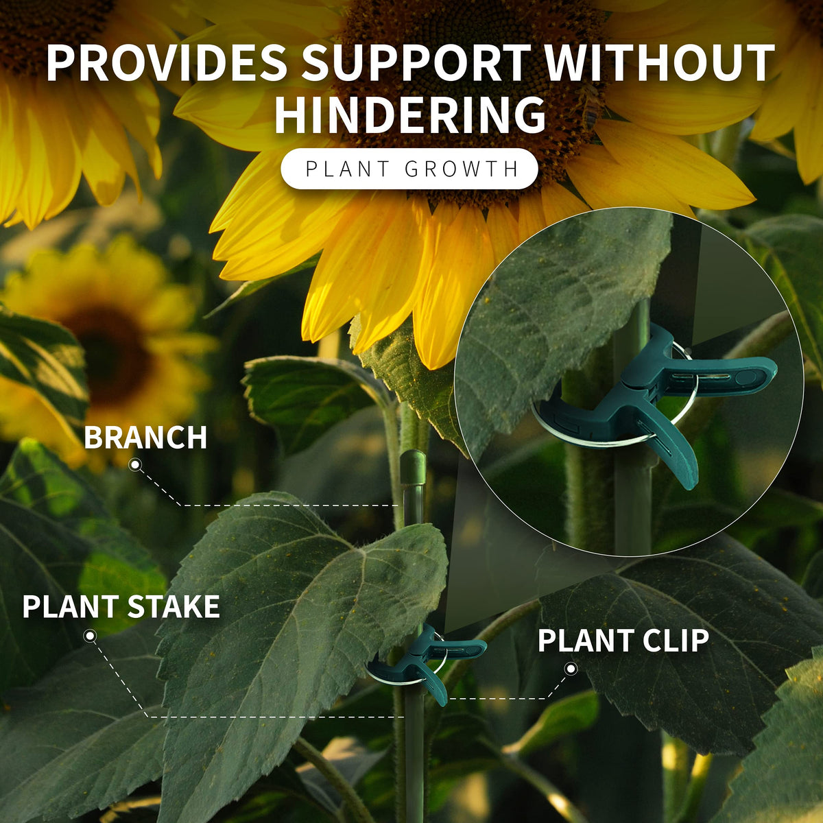 Plant Clips 40 Piece Green Gentle Gardening Plant & Flower Lever Loop Gripper Clips, Tool for