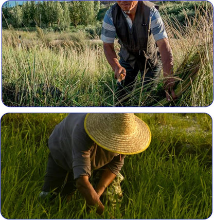 1pce 410mm/16.14in Stainless Steel Billhook Brush Clearing Sickle for Grass,Weeding Tools for