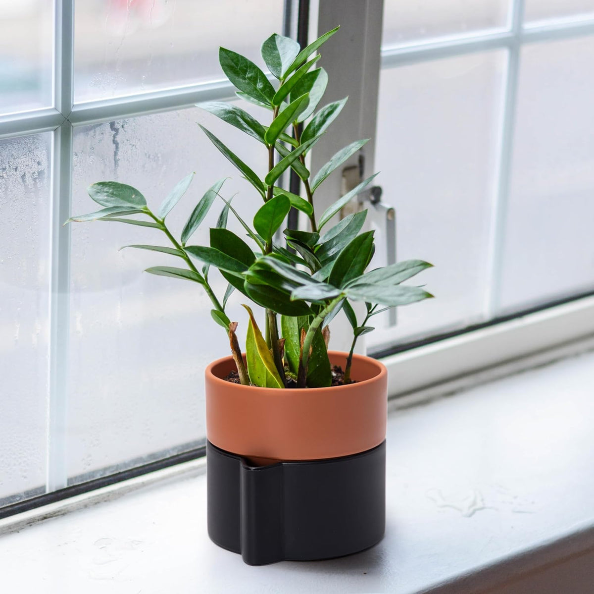 6.5 Inch Self-Watering Planter Pot with Terracotta Insert, Deep Water Reservoir, and Ceramic-Alike