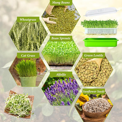 Legigo 8 Pack Seed Sprouter Trays with Lids- Soil-Free Cultivation Germination Tray, BPA Free Micro
