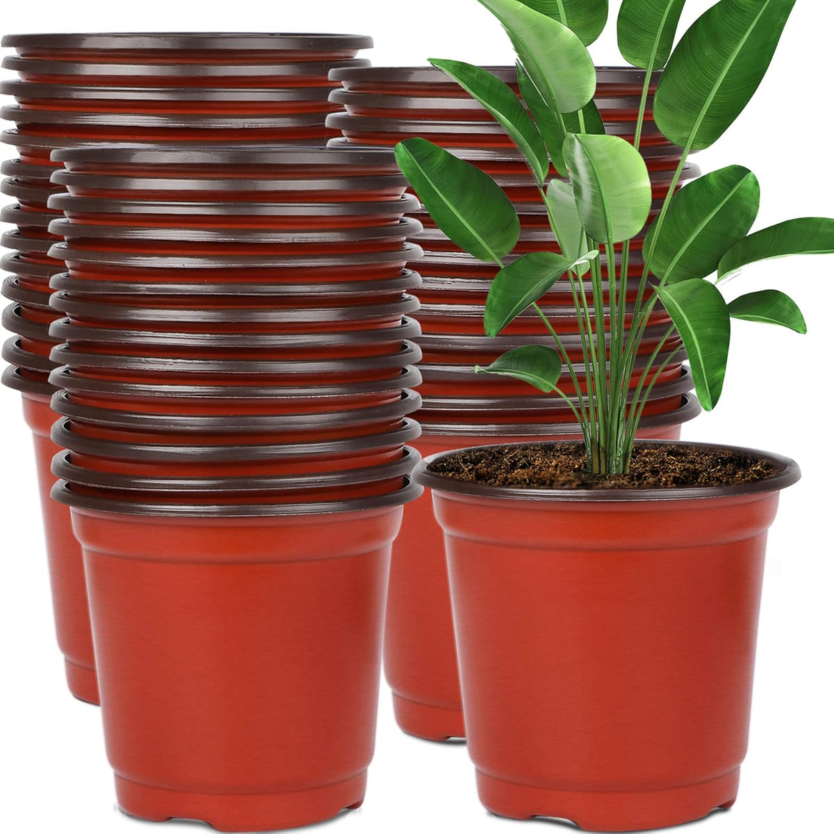 Augshy 130 Packs 6 Inches Plastic Plant Nursery Pots, Seed Starting Pot Flower Container for