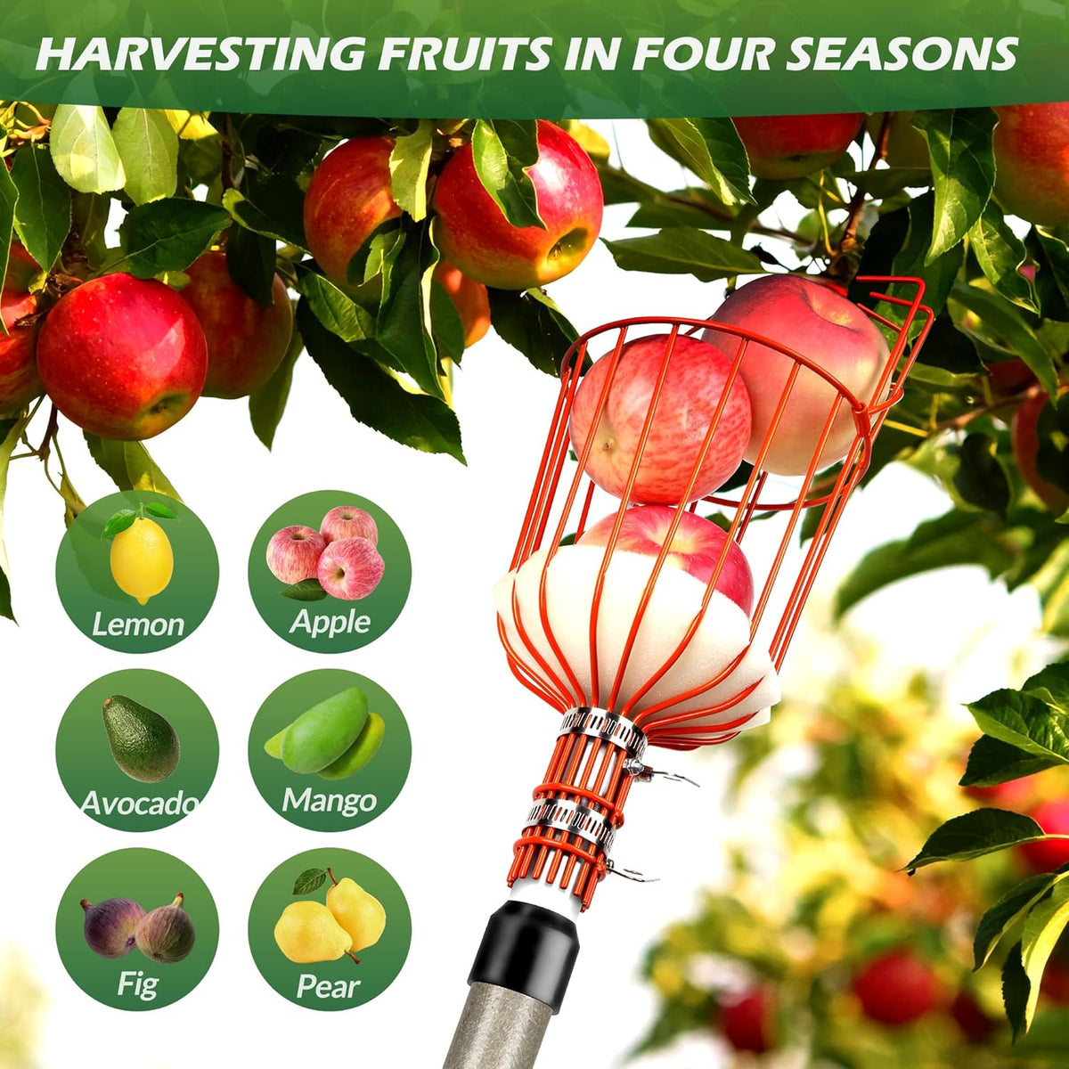 Walensee 23FT Fruit Picker, Adjustable Fruits Picker Tool with Fiberglass Pole, Big Basket and
