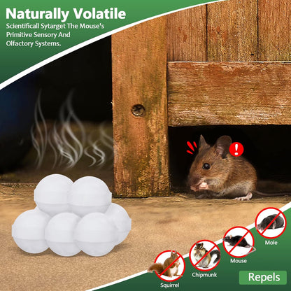 Mouse and Mice Repellent Indoor Outdoor, 10 Packs Moth Balls, Peppermint Balls for Rodent