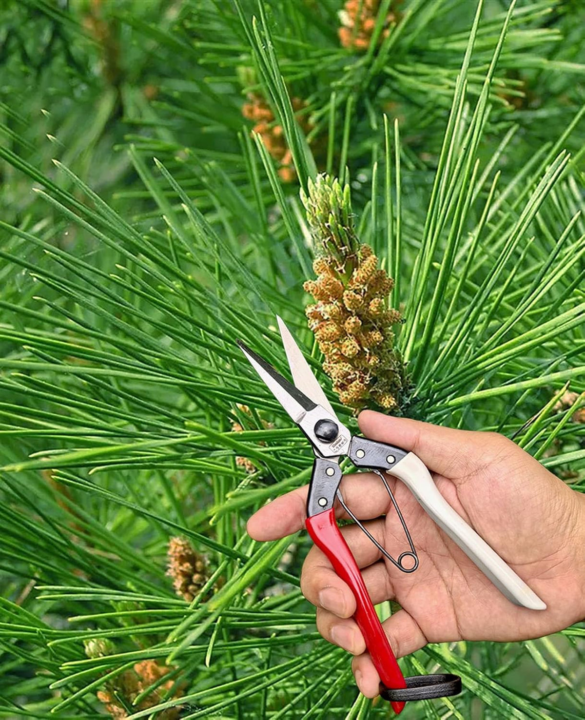 Double-Edge Garden Shears Micro-Tip Pruning Shears Extra Heavy Straight Garden Scissors Effortless