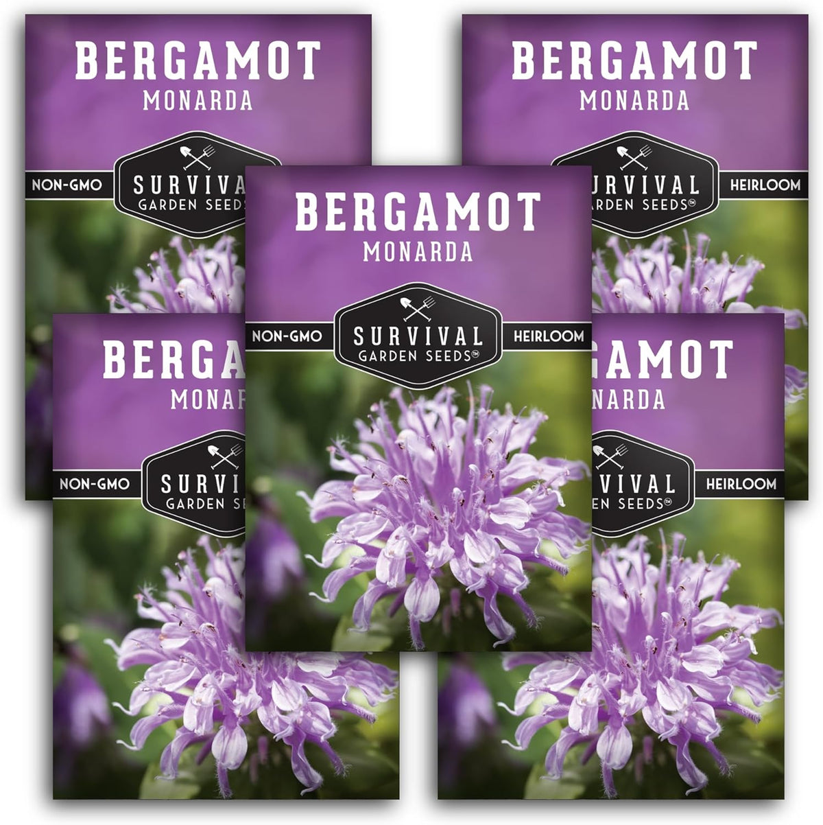 Survival Garden Seeds - Bergamot Herb (Bee Balm) Seed for Planting - 5 Packets with Instructions to