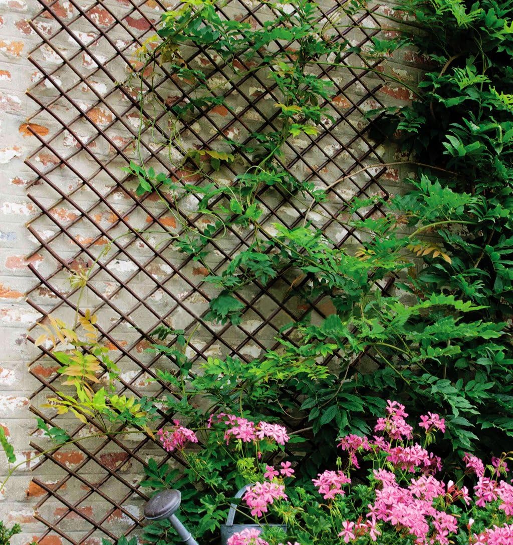 Expandable Garden Trellis Plant Support Willow Lattice Fence Panel for Climbing Plants Vine Ivy