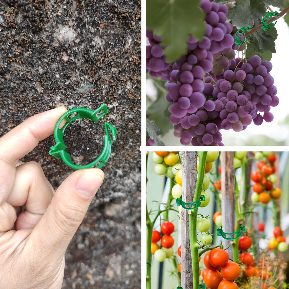 CACERIAWM Plant Support Clips, 100 Pcs Tomato Clips, Plastic Trellis Clips, Grape Vine Tomato Vine