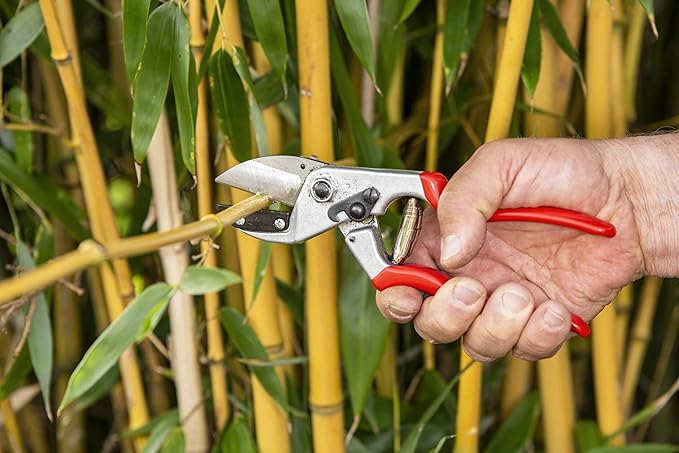 Felco F31 Pruning Shears – 8.3" Garden Clippers with Anvil Blade for Dry & Hard Wood | Hand Pruner