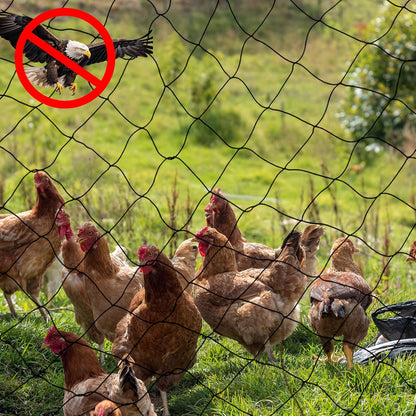 Windyun 2 Pcs Bird Netting 50' x 100' Bird Net Chicken Coop 2.4" Mesh Heavy Duty Deer Fence Aviary