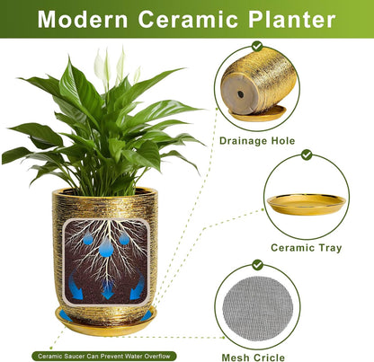 Ceramic Pots for Plants 12 Inch - Ceramic Planter for Indoor Outdoor Flowers, Cylinder Modern