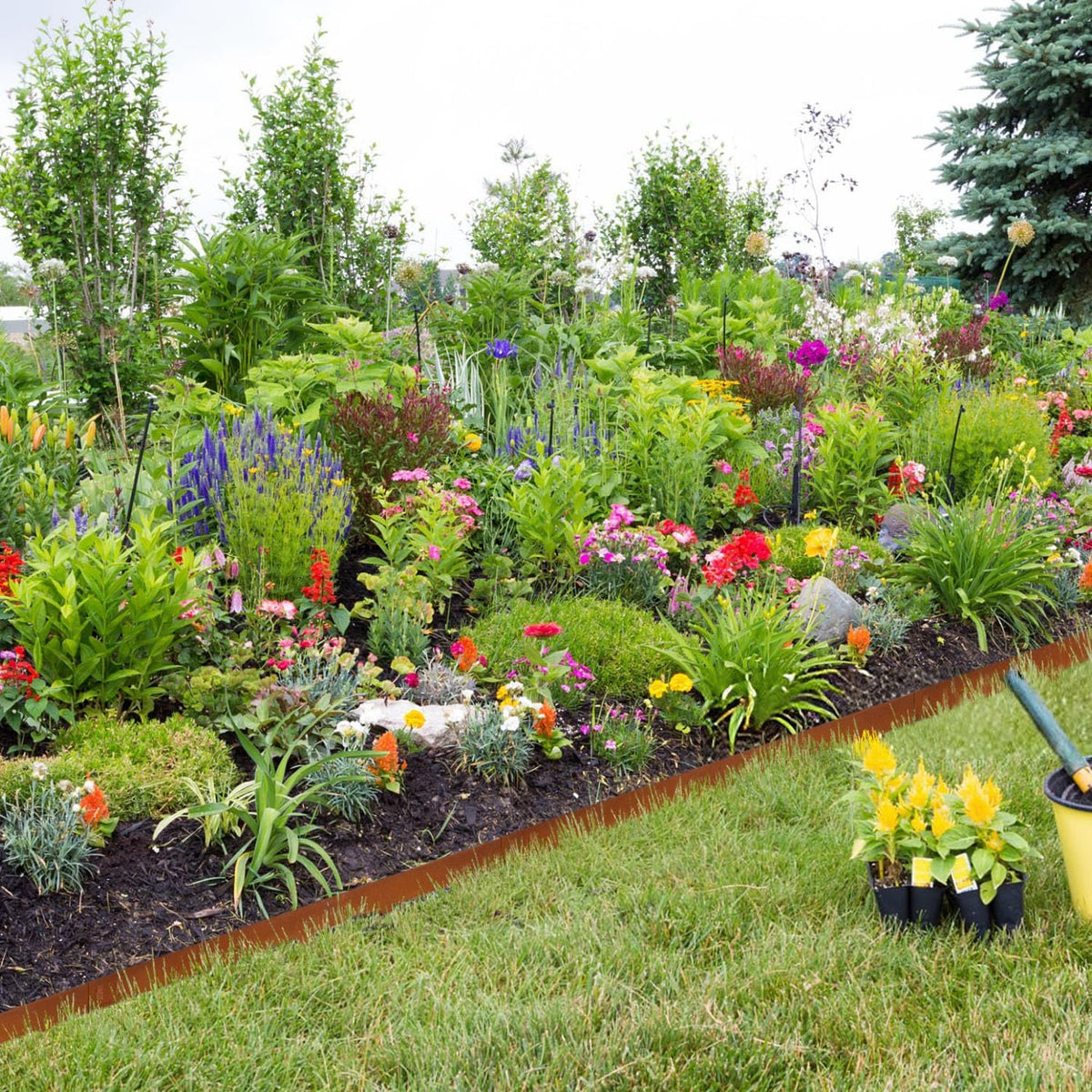 Corten Steel Edging 5 Inch 10 Packs Steel Landscape Edging 40 Inch Strips Hammer in Landscape