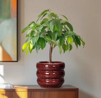 SQOWL Ceramic Flower Pots - 8 Inch Planter for Indoor Plants, Ceramic Plant Pot with Drainage Hole
