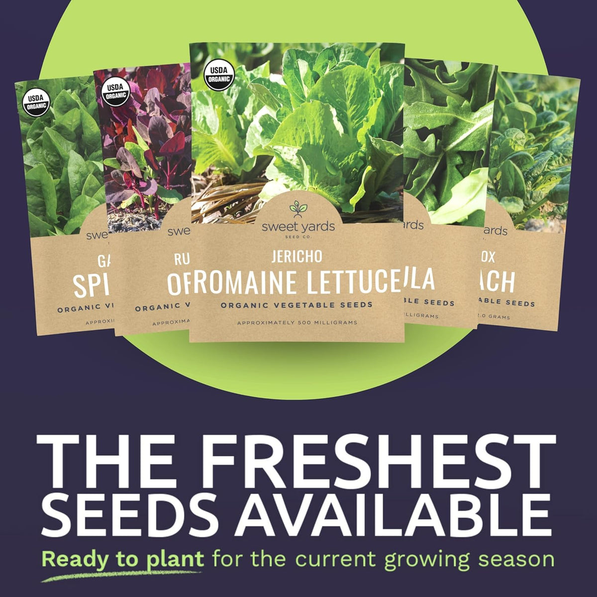 Organic Heat Tolerant Lettuce Seeds Variety Pack - 9 Individual Packs - 2025 Season - Galilee