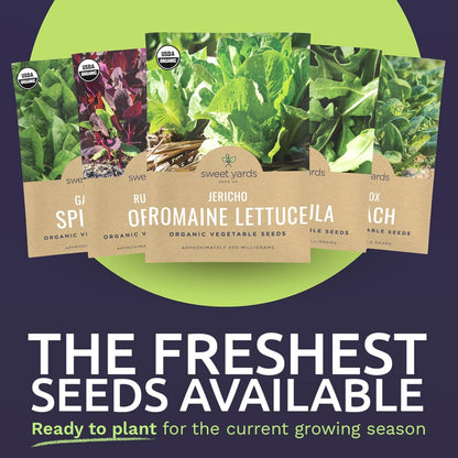 Organic Heat Tolerant Lettuce Seeds Variety Pack - 9 Individual Packs - 2025 Season - Galilee