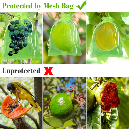 Morcheiong 60Pcs Protection Bags 6" x 8", Reusable Netting for Fruit Trees, Garden Mesh With