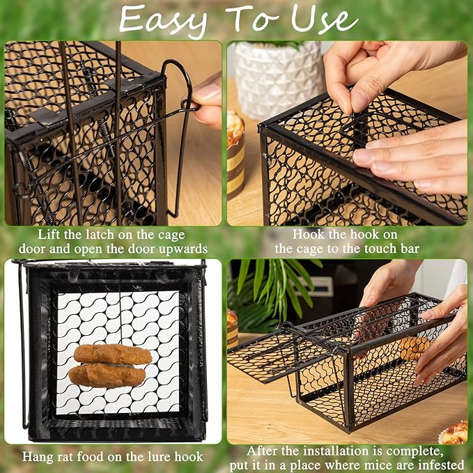 Qualirey 4 Pcs Humane Rat Trap Chipmunk Rodent Mouse Squirrel Trap Small Live Animal Mouse Voles