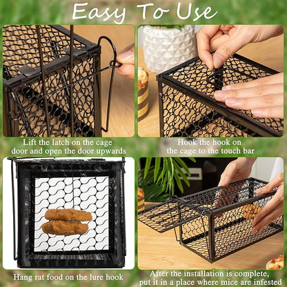 Qualirey 4 Pcs Humane Rat Trap Chipmunk Rodent Mouse Squirrel Trap Small Live Animal Mouse Voles