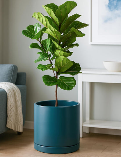 D'vine Dev 12 Inch Ceramic Planter Pot with Drainage Hole and Saucer, Indoor Cylinder Round Planter