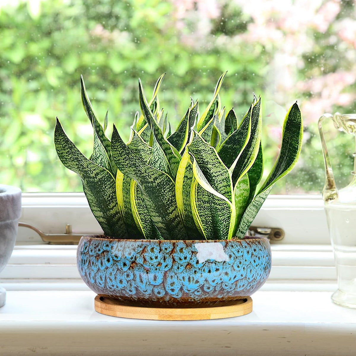 ARTKETTY Succulent Pots - 7.5 Inch Large Plant Pot with Bamboo Tray, Shallow Bonsai Pots with