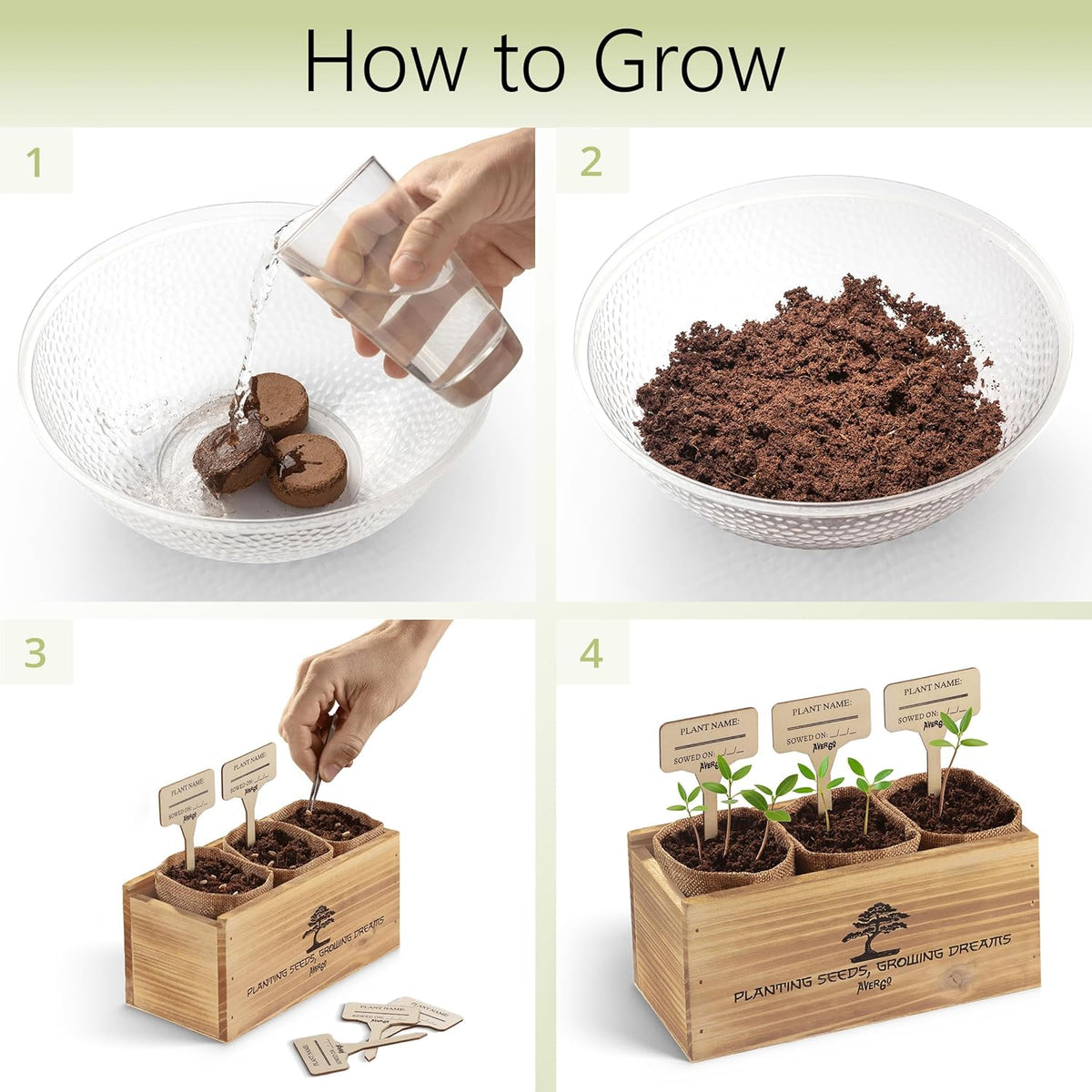 Avergo Bonsai Tree Kit – 3X Unique Japanese Bonzai Trees | Complete Indoor Starter Kit for Growing